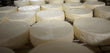Creamery Tour and Guided Cheese Tasting